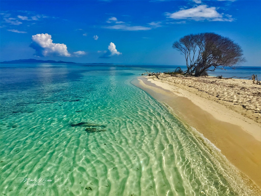 Turquoise coastline and beach in Roatan, Honduras